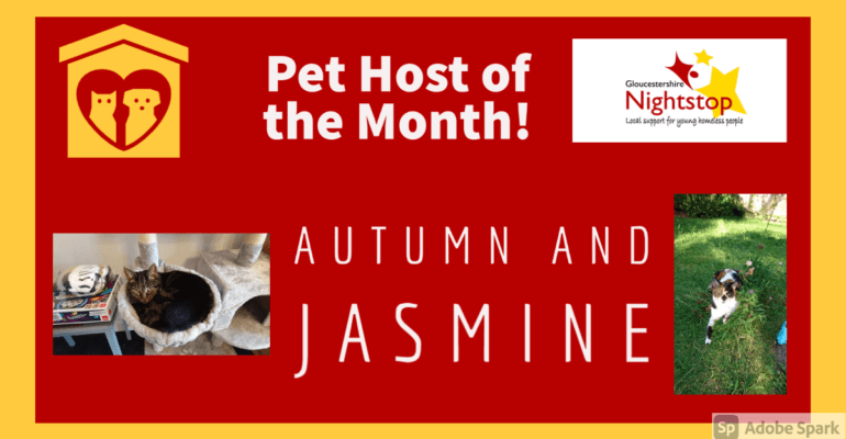 Pet-Host-Nov-770x400 | Pet Host Nov 770x400 1