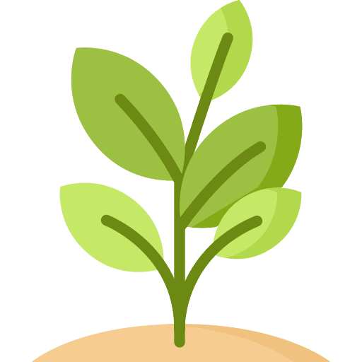 plant (1) | plant 1